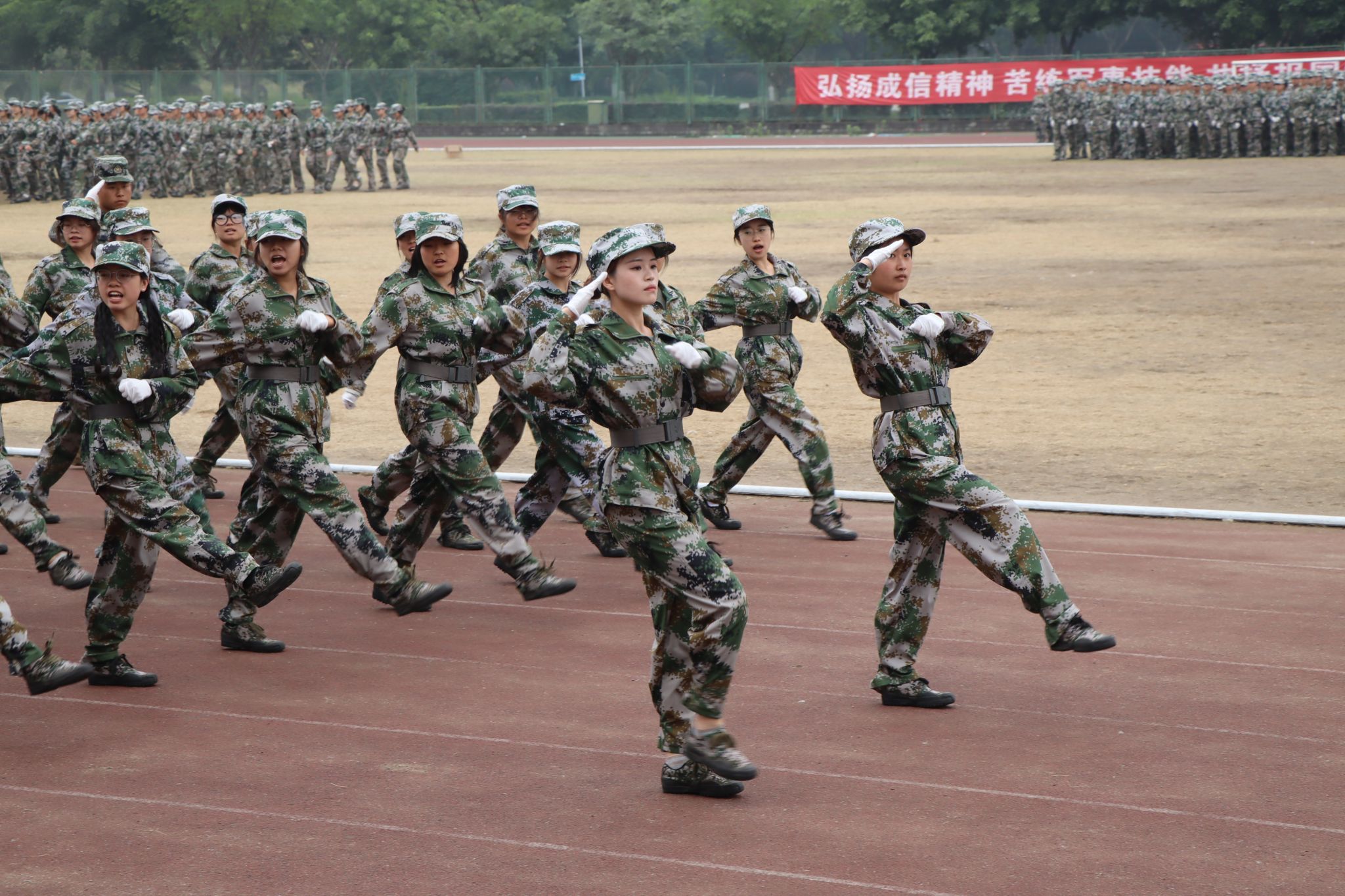 bv伟德国际体育官方网站