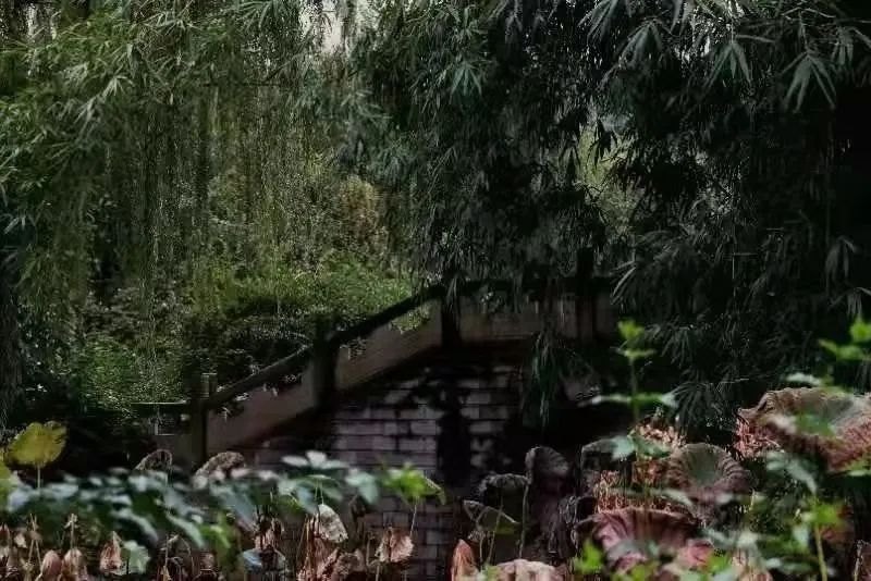 bv伟德国际体育官方网站