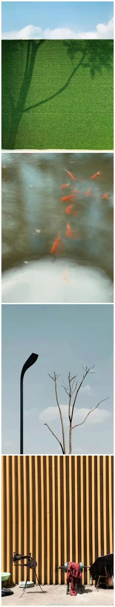 bv伟德国际体育官方网站