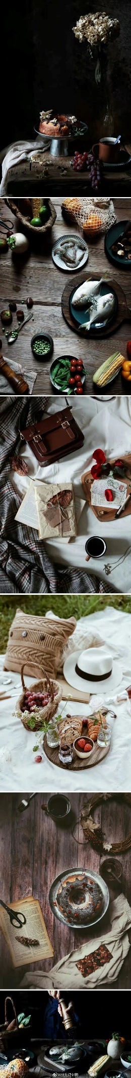 bv伟德国际体育官方网站