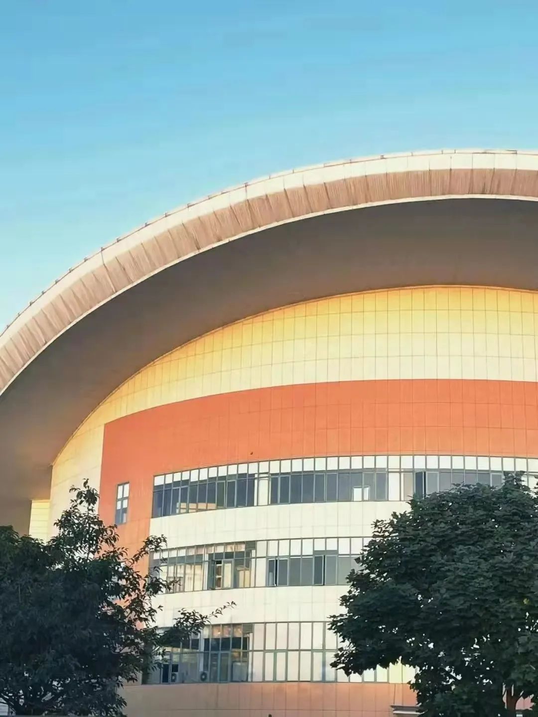 bv伟德国际体育官方网站