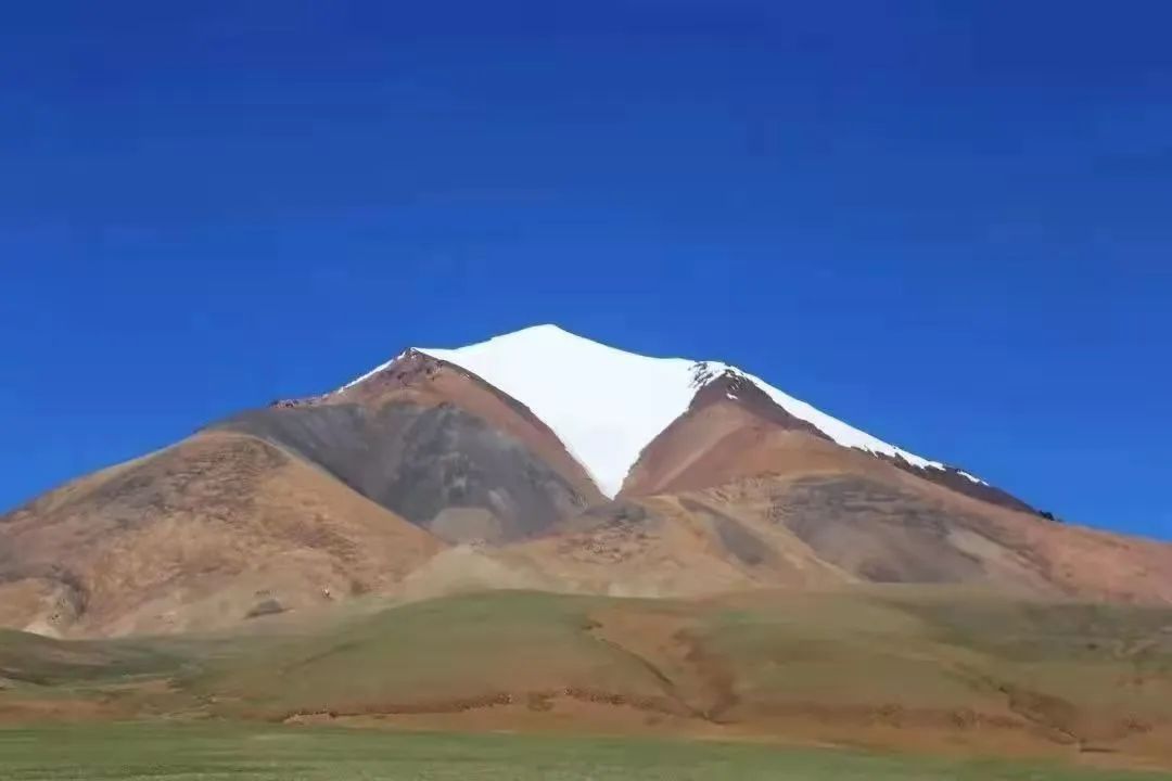 bv伟德国际体育官方网站