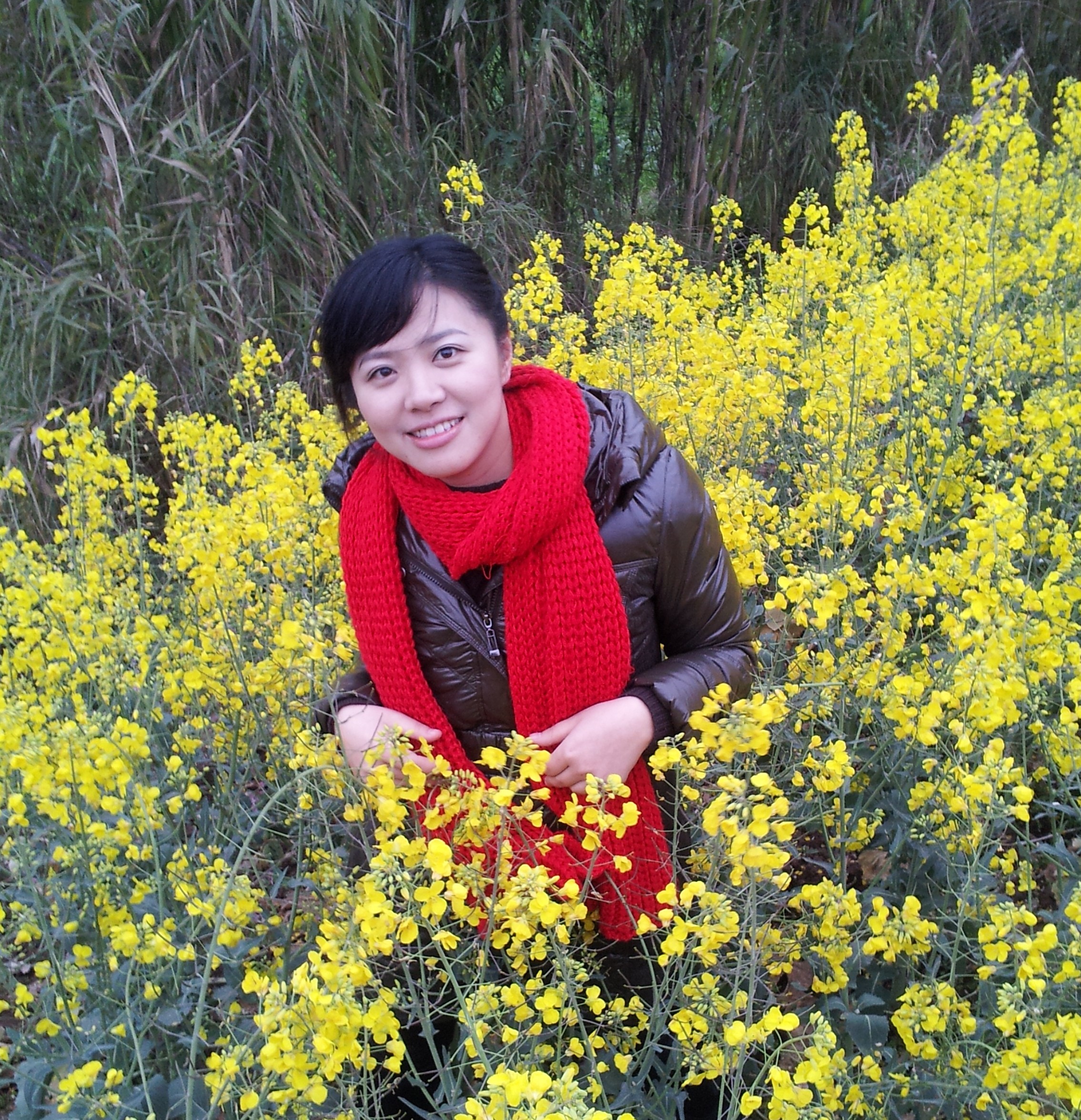 bv伟德国际体育官方网站