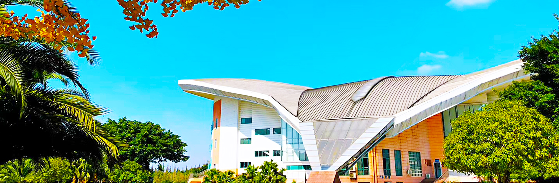 bv伟德国际体育官方网站